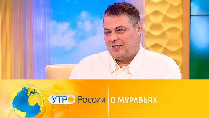 Муравьев утро. Муравьев утро