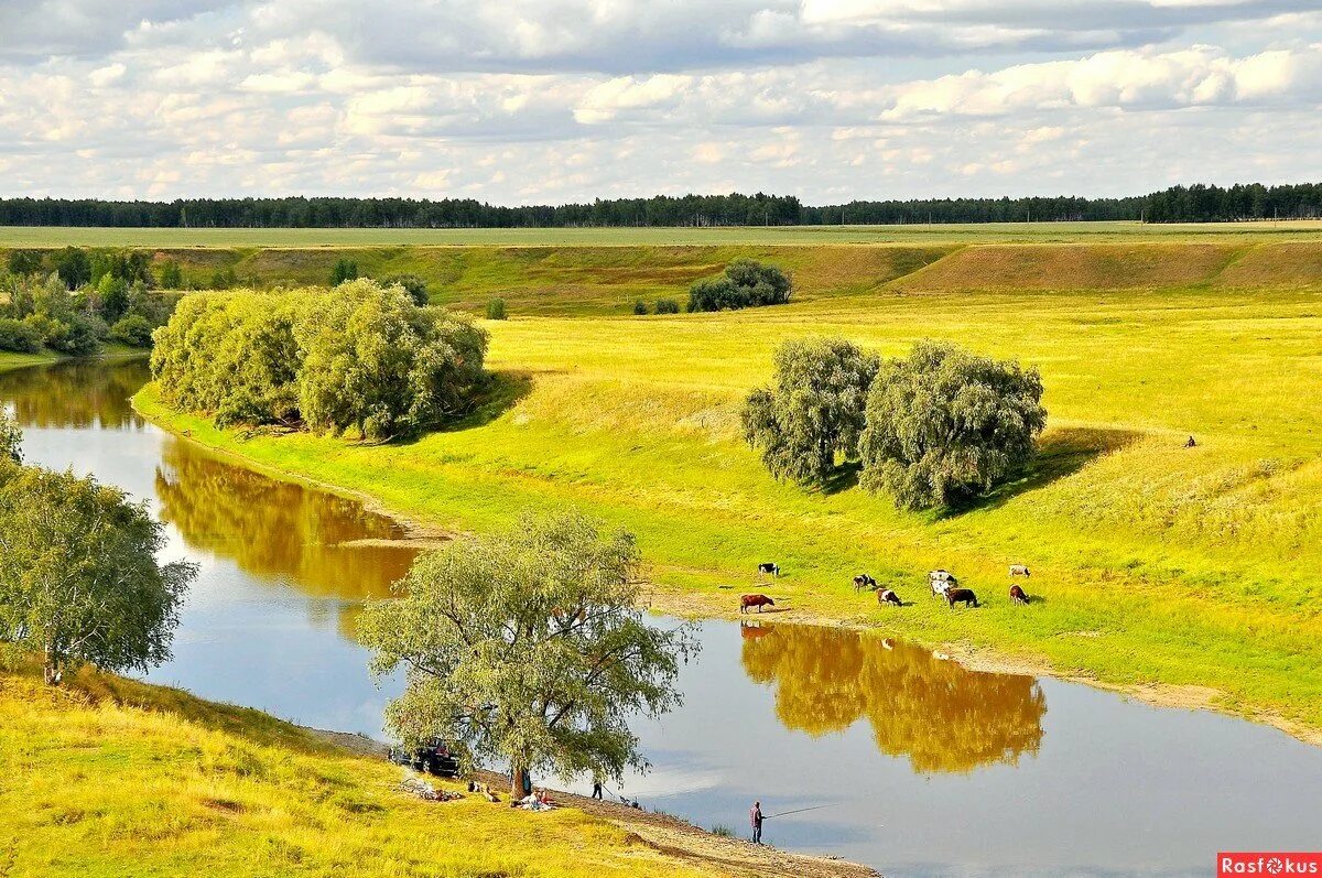Река тарбуга. Природа родного края. Река омь омская область. Родной край омск. Родной край омск.
