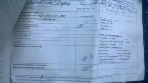 Кишечная группа сроки
