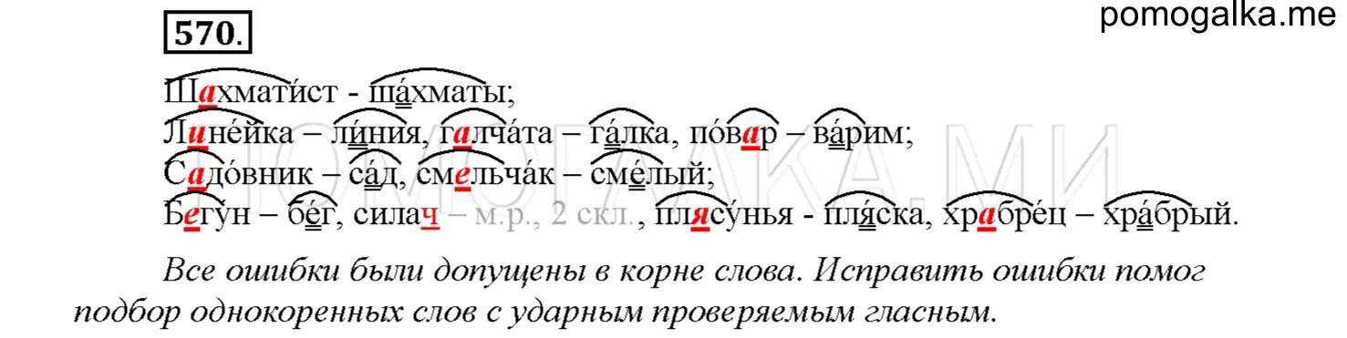 Корень в слове линия