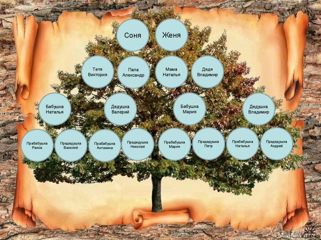 Что такое родословное древо. Генеалогическое Древо прабабушка прадедушка. Генеалогическое Древо макет. Геологическое дерево. Родословное дерево моей семьи.