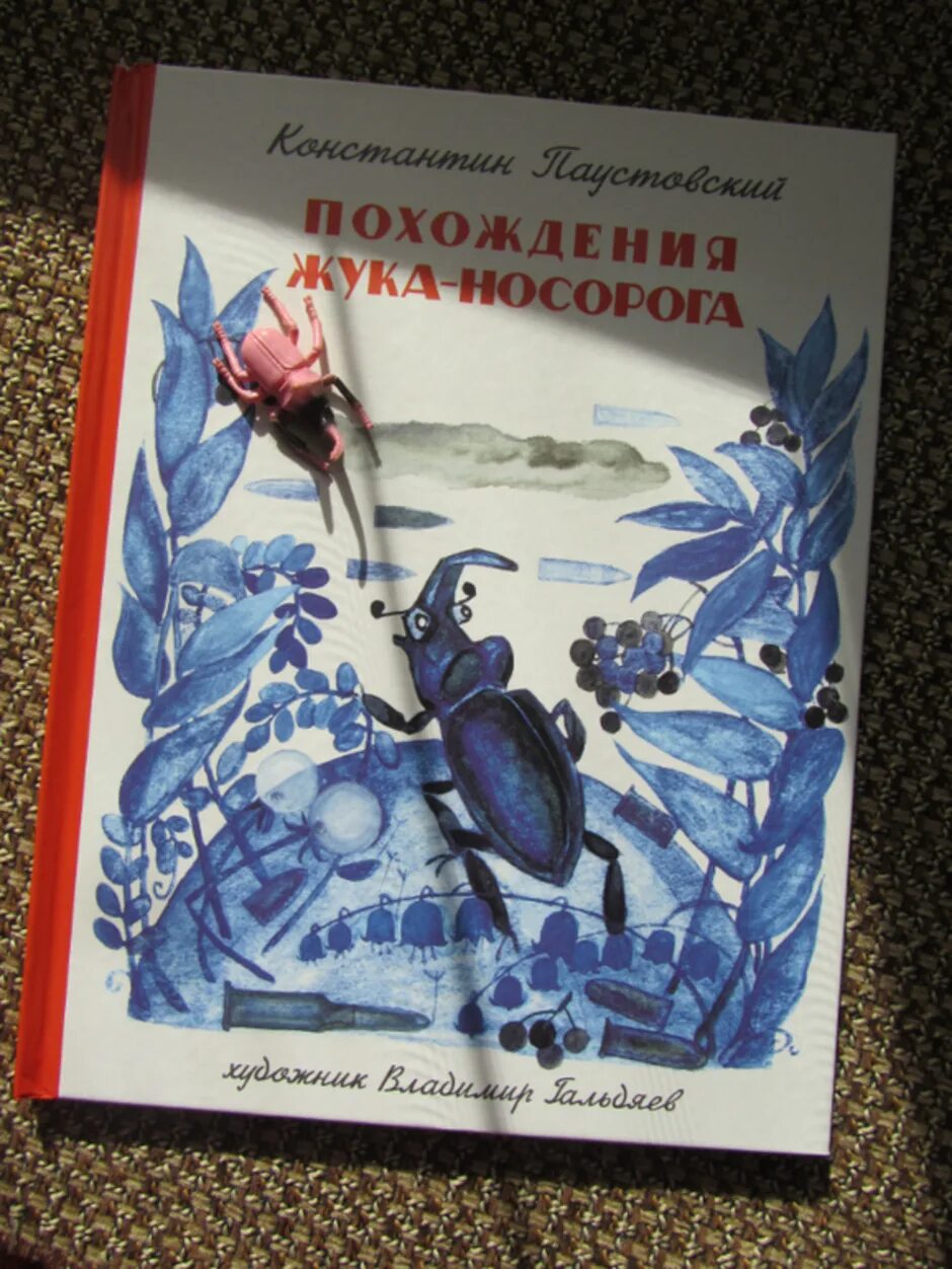 Жук носорог паустовский кратко. Книга Паустовский похождения жука носорога. Жук носорог Паустовский. Похождения жука-носорога Паустовский иллюстрации.