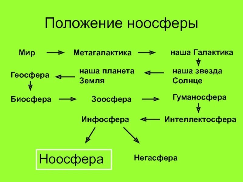 Положение ноосферы. Иерархия компонентов инфосферы. геосфера биосфера ноосфера. состав ноосферы. инфосфера пример.