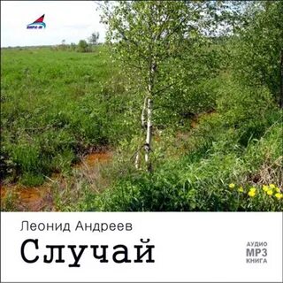 Истории случай