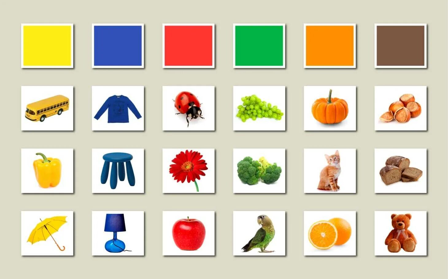 Предметы по цвету. Цветные предметы. Посуда для детей дошкольного возраста. Игрушки для сортировки и мелкой моторики. Классификация предметов по форме.