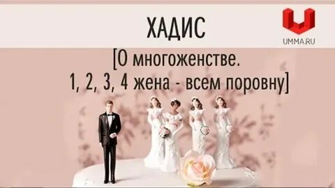 Вторая жена в исламе