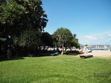 Botany beach отзывы