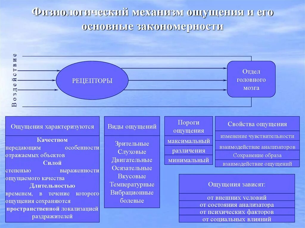 Физиологические механизмы ощущений. Физиологический механизм ощущений и восприятия. Механизмы формирования ощущений. Механизм формирования ощущений в психологии.