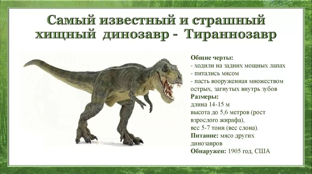 Тираннозавр рекс информация для детей. Тираннозавр рекс рост и вес. Тираннозавр рекс описание для 1 класса. Описание динозавров.