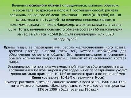 Величина первичной продукции