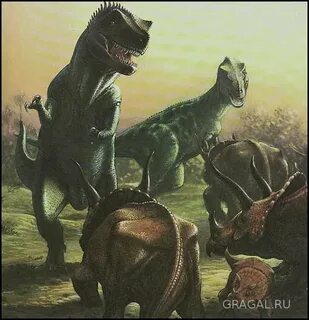 Друзья атакует
