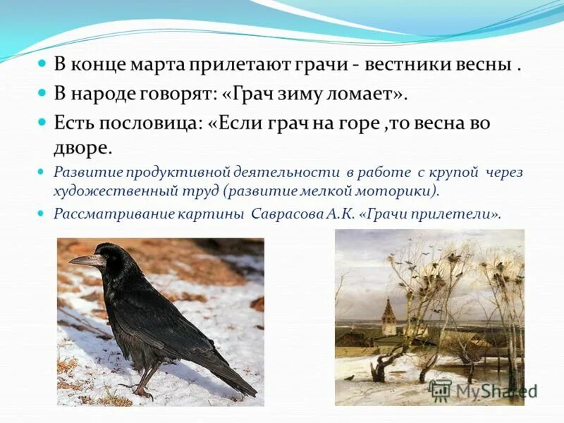 Когда прилетают грачи в москву. Грачи вестники весны. Предложения про грачей. Первые вестники весны. Грачи— вестники.