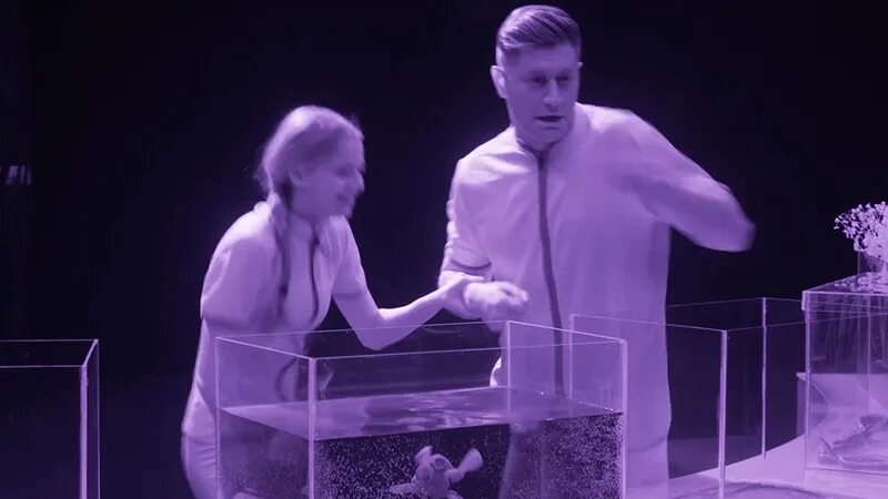Участники шоу блэкаут 2025. Полный блэкаут 2 сезон от 26.10. полный блэкаут 2 сезон 26.10.2025. полный блэкаут 2 сезон 2 выпуск. полный блэкаут 26.10.21 актеры.