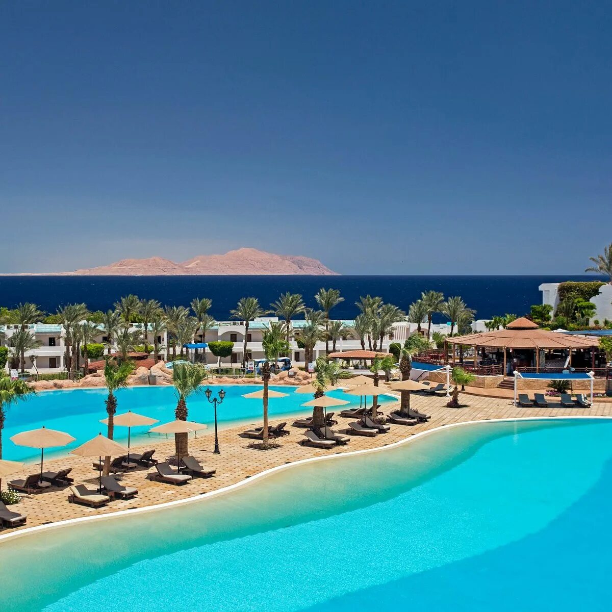 Отель sultan gardens resort 5 шарм-эль-шейх. Sultan garden египет шарм эль шейх. Sultan garden египет шарм эль шейх. Sultan garden египет шарм эль шейх. Sultan garden египет шарм эль шейх.