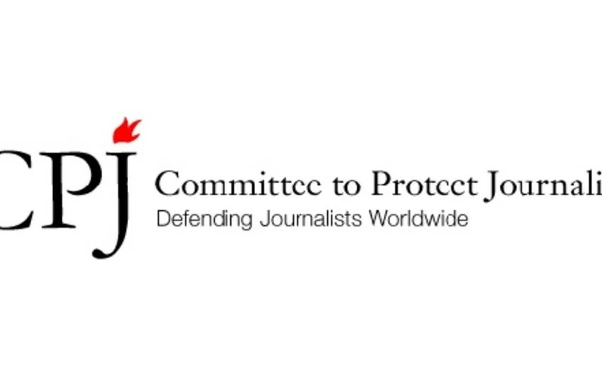 Fidh. Cpj. Омст. Human rights. Protection committee.