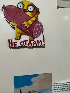 Вася точка