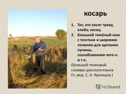 Однокоренные слова косилка коса косьба кость
