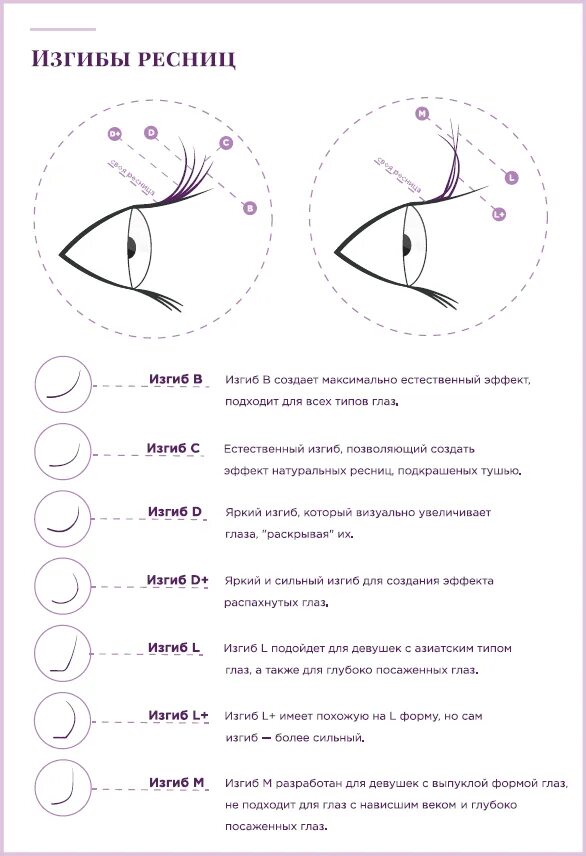 M изгиб наращивание ресниц схема. Схема наращивания ресниц изгиб с. Виды ресниц для наращивания по изгибу и толщине названия. Схема наращивания ресниц изгиб м. Изгиб кому подходит
