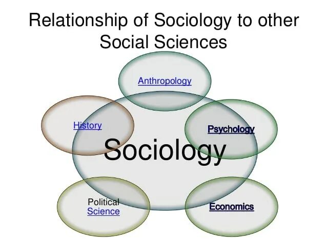 Include within. History of Sociology. Psychology and Sociology. Sociology and political Sciences. Sociology and Pedagogy.