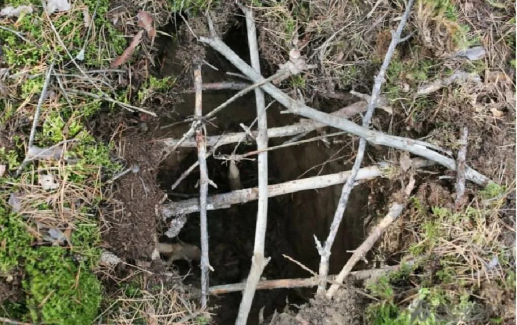 обустройство выгребной ямы. приспособления для чистки выгребной ямы. компостная яма в земле. чистить выгребную яму карбидом. труба для сливной ямы.