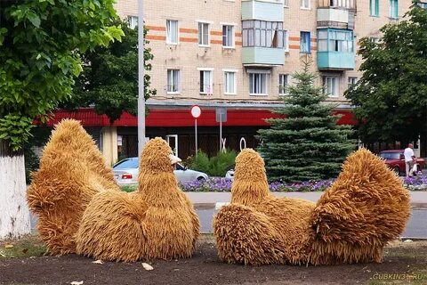 Белгородская область губкин отзывы