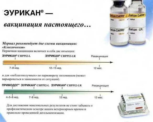 Эурикан инструкция. Эурикан для собак dhppi2. Нобивак dhppi. Эурикан инструкция. Схема прививки эурикан для щенков.