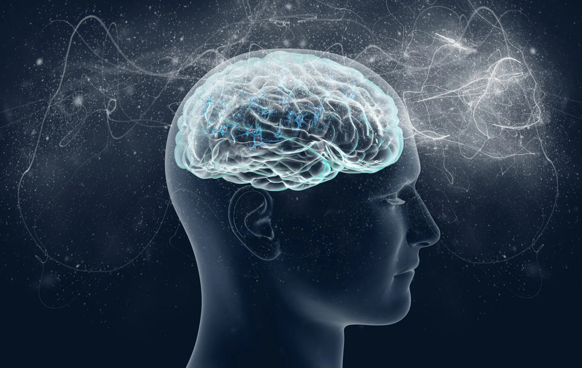 Mind net