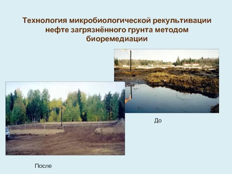 Рациональное природопользование рекультивация земель на месте карьеров. Рекультивация нефтезагрязненных почв. Этапы рекультивации земель. Технологии рекультивации почв. После рекультивации нефтезагрязненных почв.