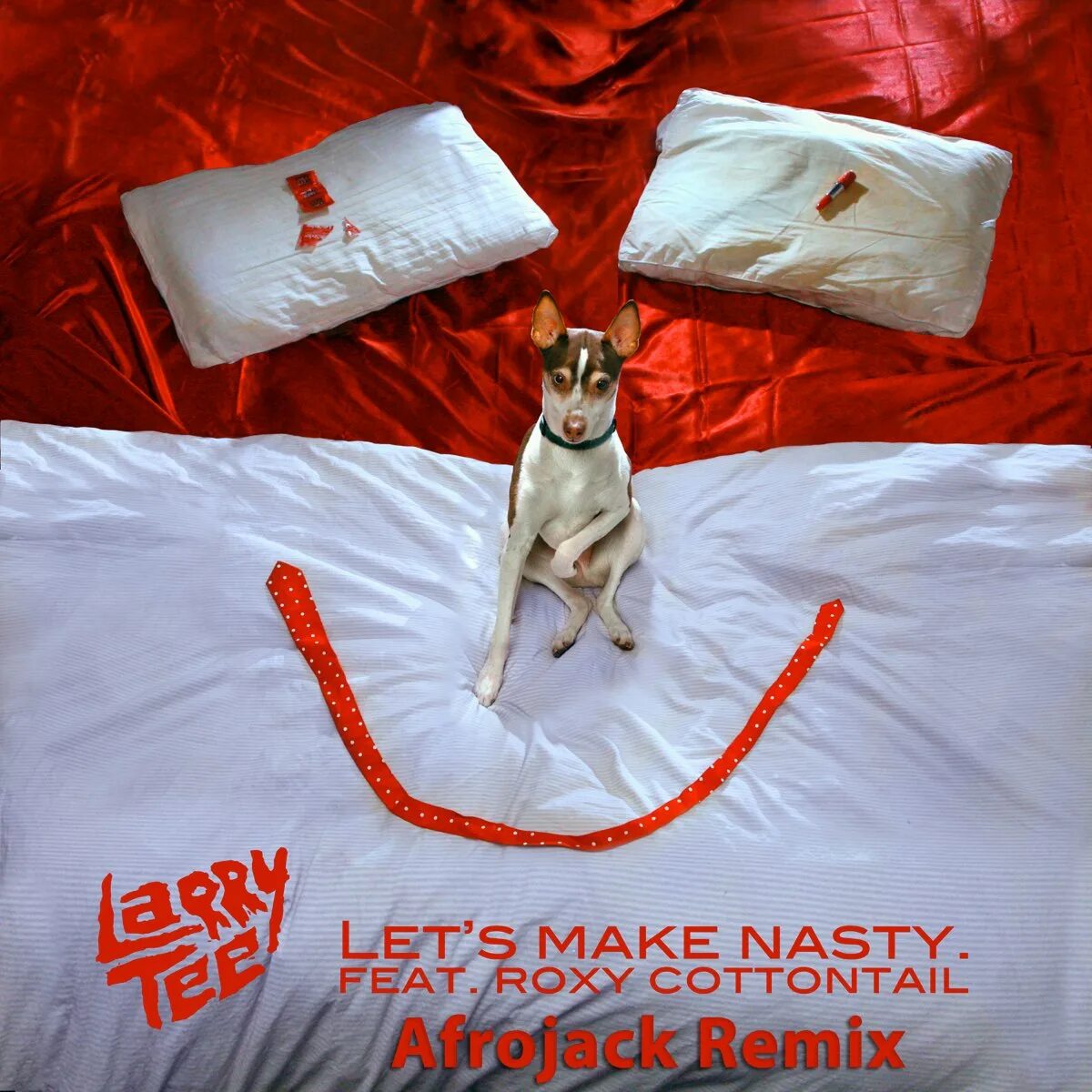 Larry Tee. Рокси феат. Satin Puppets. Cottontail Jams album picture.