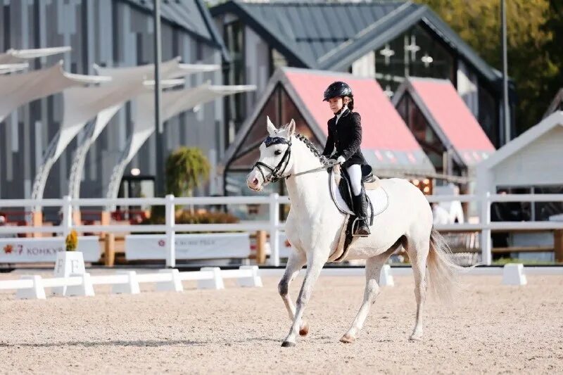 тренер выездка кск урожай. кск урожай. сокольники конный клуб. кск урожай. кск урожай.