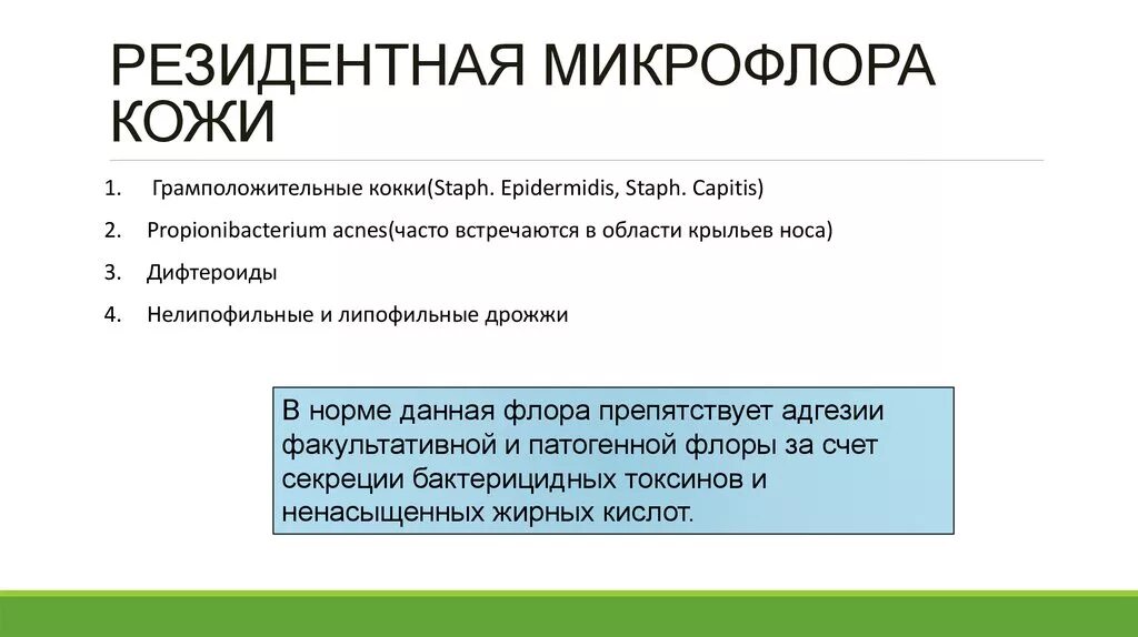 Состав микрофлоры кожи. Нормальная микрофлора кожи. Резидентная микрофлора это. Резидентная микрофлора и транзиторная микрофлора. Резидентная и транзиторная микрофлора.