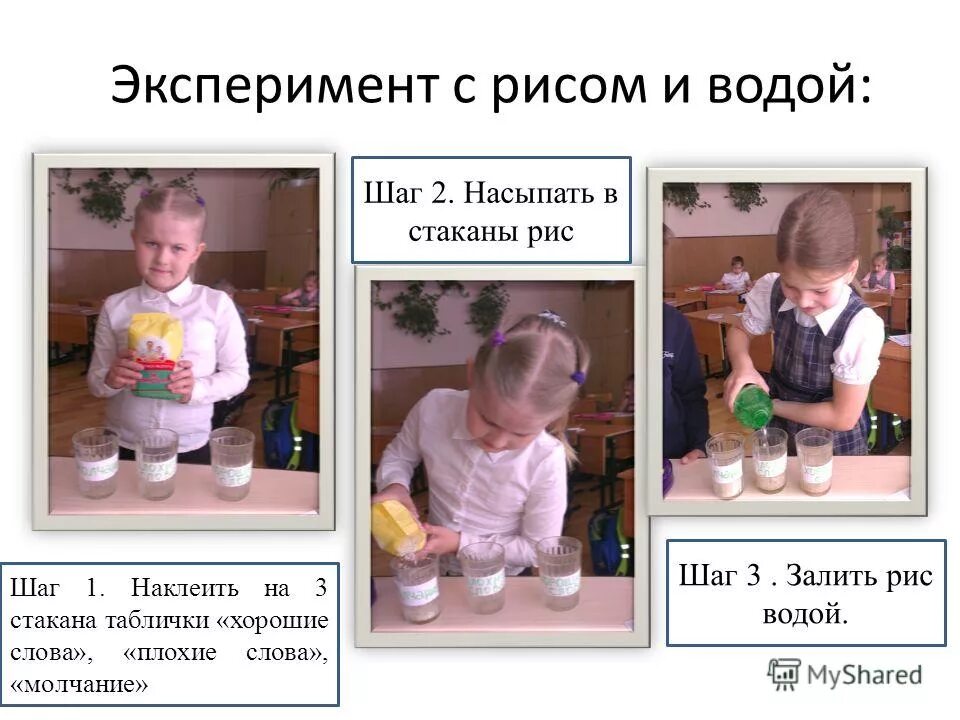 Масару эмото опыт с рисом. Эксперимент с рисом. Опыт с рисом. Эксперимент с рисом. Опыт с рисом и водой.