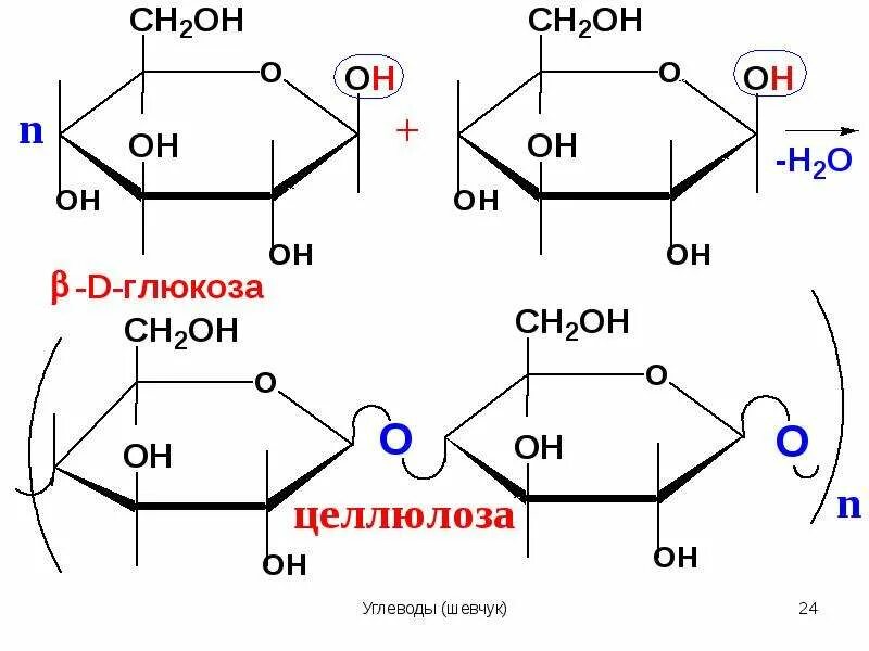 Синтез целлюлозы из Глюкозы. Целлюлоза в глюкозу реакция. Из целлюлозы в глюкозу реакция. Получение Глюкозы из целлюлозы. Целлюлоза вода глюкоза