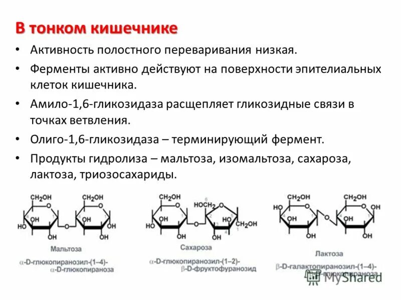 Ферменты участвующие в переваривании углеводов. 1-6 Гликозидные связи в углеводах. Реакция катализируемая амило 1-6 гликозидазой. Субстрат амило 1,6 гликозидаз. Амило 1 6 глюкозидаза.