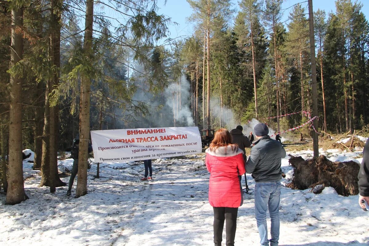 Работа порошино. Киров Порошино лес. Порошино тропа здоровья. Тропа здоровья Киров. Порошино тропы здоровья.