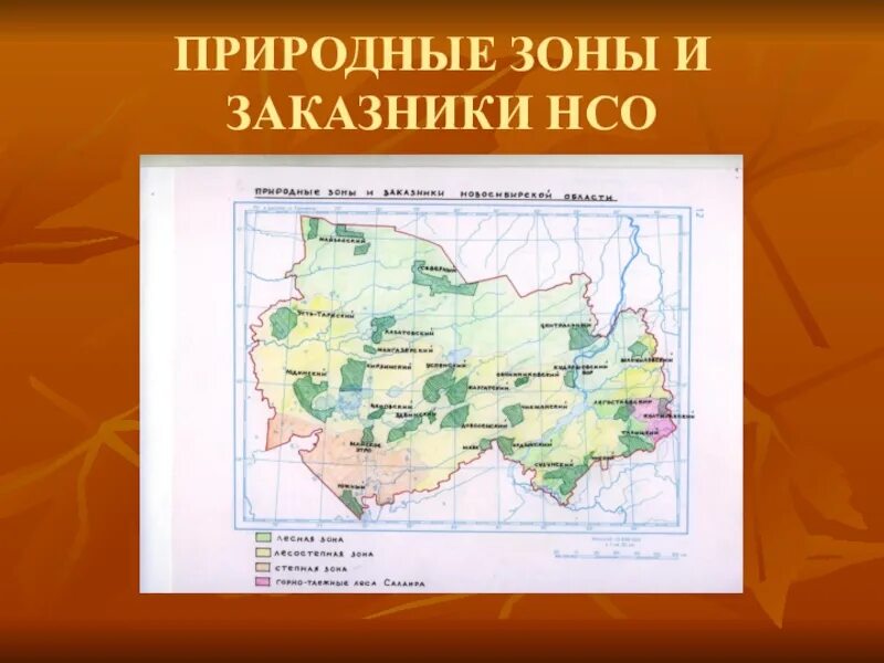 Карта природных зон Новосибирской области. Природные зоны НСО карта. Карта Новосибирской области по природным зонам. Природные зоны Новосибирской области 4 класс. Какая природная зона в новосибирске