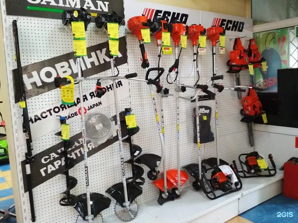 Ляды магазин муравей. Ant shop. Ant shop. Ant shop. Динозавровый муравей (динопонера гигантская).