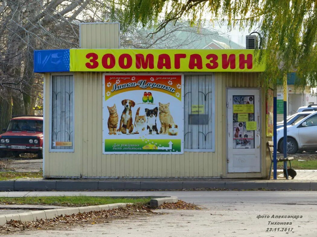 Зоомагазин город волгодонск. Зоомагазин волгодонск новый город. Зоомагазин город волгодонск. Зоомагазин город волгодонск. Зоомагазины в волгодонске в старом городе.