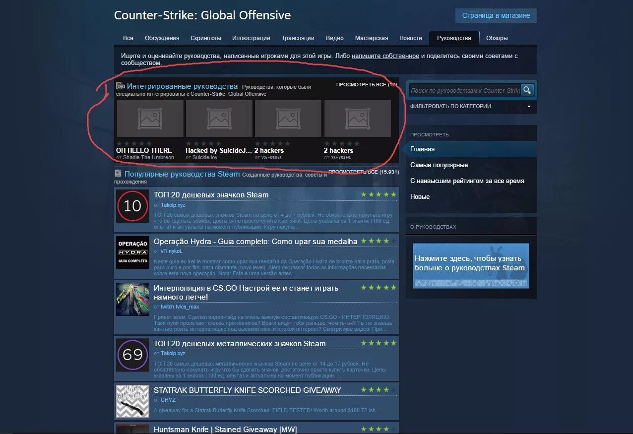 Руководства стим для профиля. Руководства стим. Инструкция о Steam. Руководство в стиме. Гайд стим.