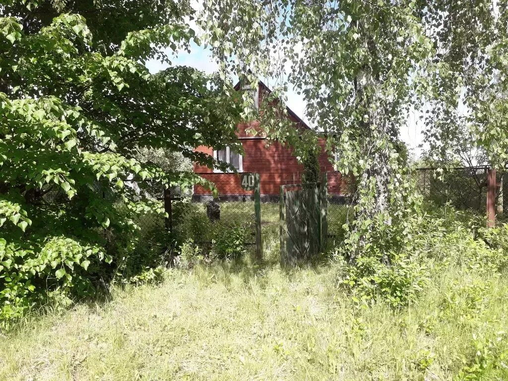 Солнечногорске деревня радумля. Деревня радумля. Школа деревня радумля. Деревня радумля. Солнечногорске деревня радумля.