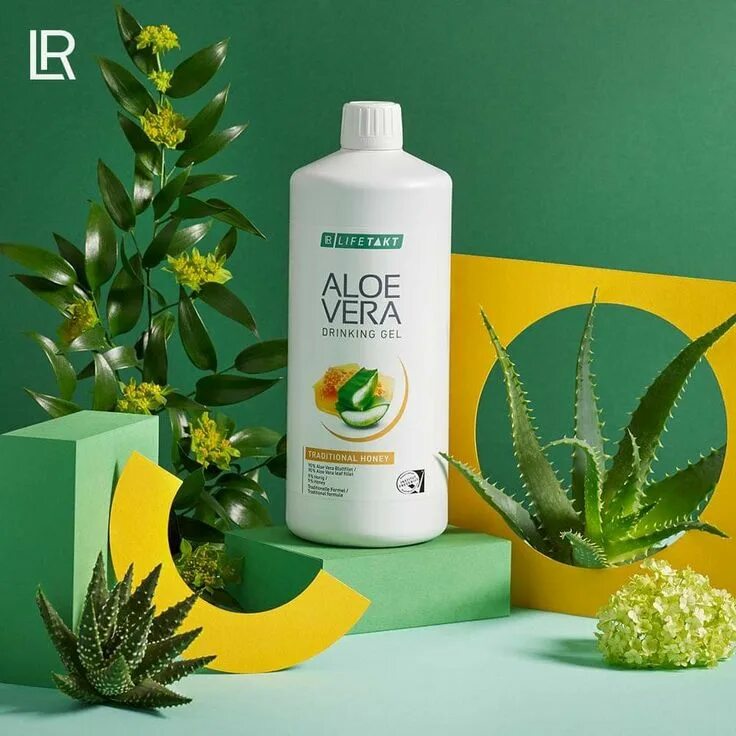 Aloe vera купить