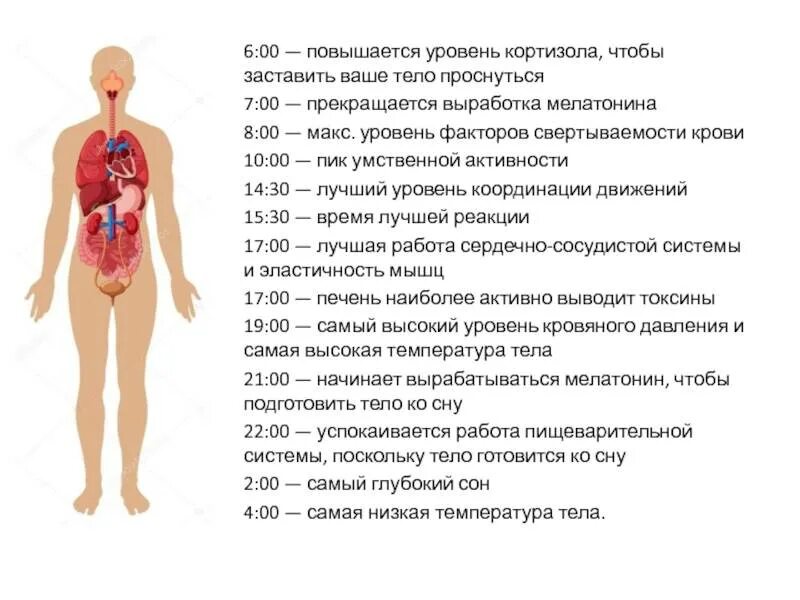 Гормон повышающий стресс