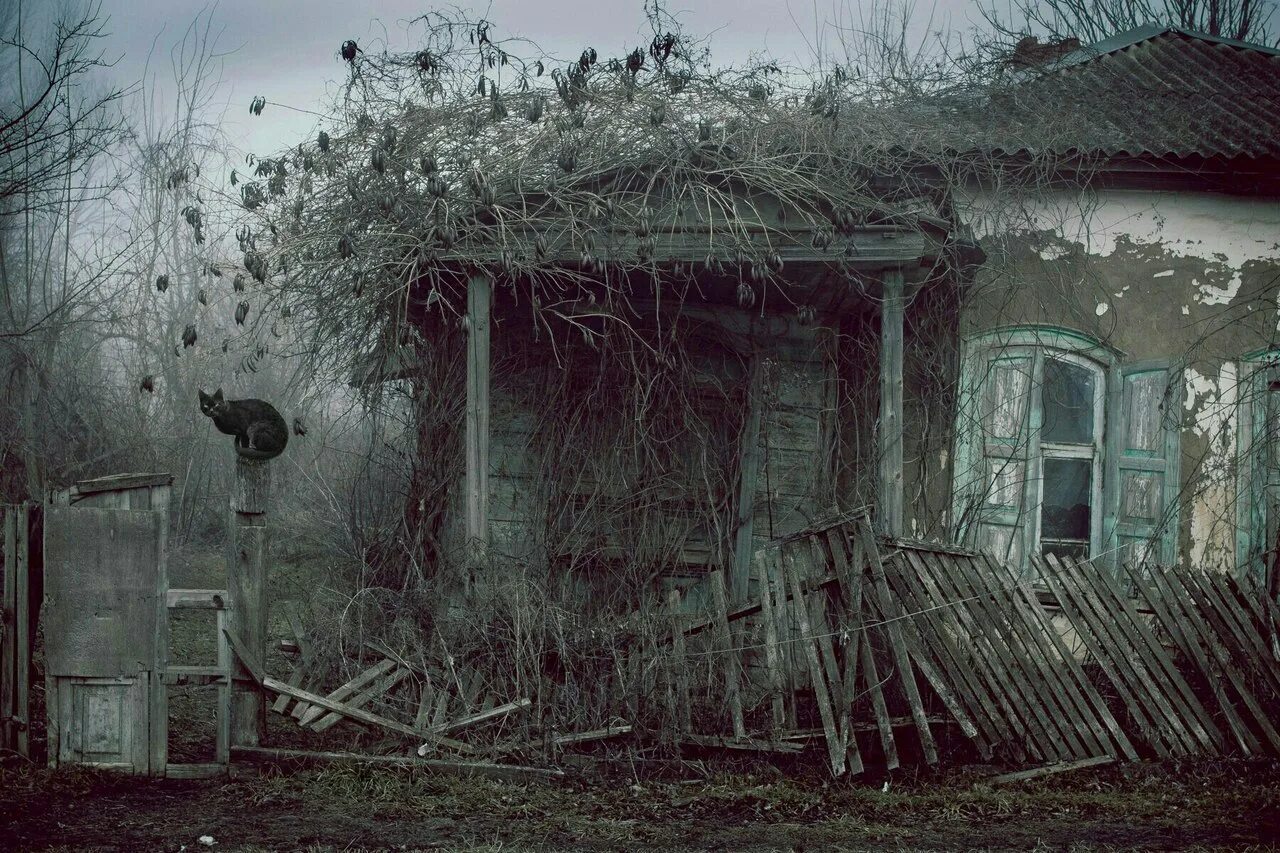 Заброшенные на полку глядел испуганно лиственные. Страшный дом в деревне. Жуткая деревня. Заброшенный дом в деревне. Заброшенные дома в деревнях.