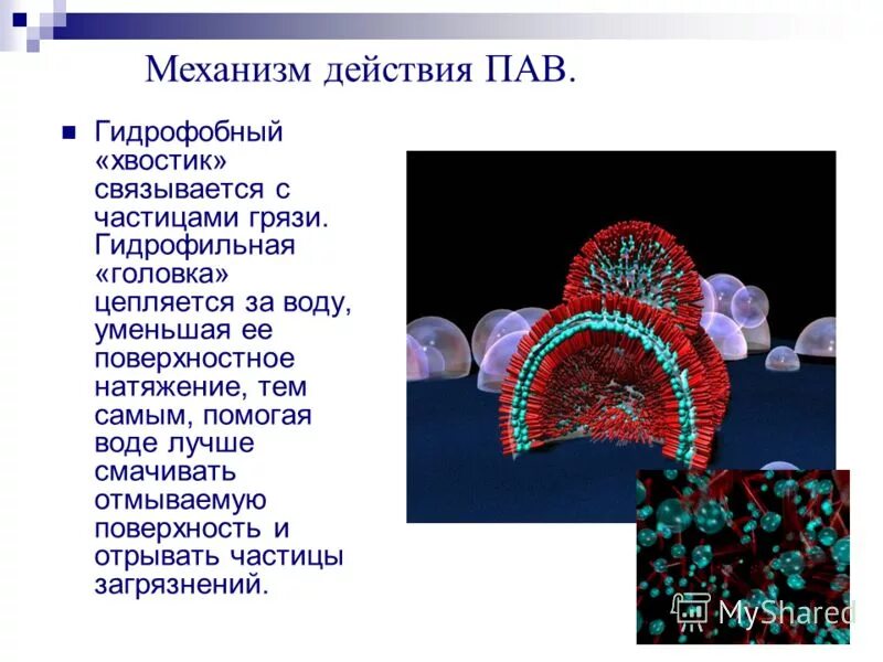 Поверхностно-активные вещества (пав). Влияние пав на адгезию. Строение молекулы пав. Действие поверхностно активных веществ. Действие поверхностно активных веществ.