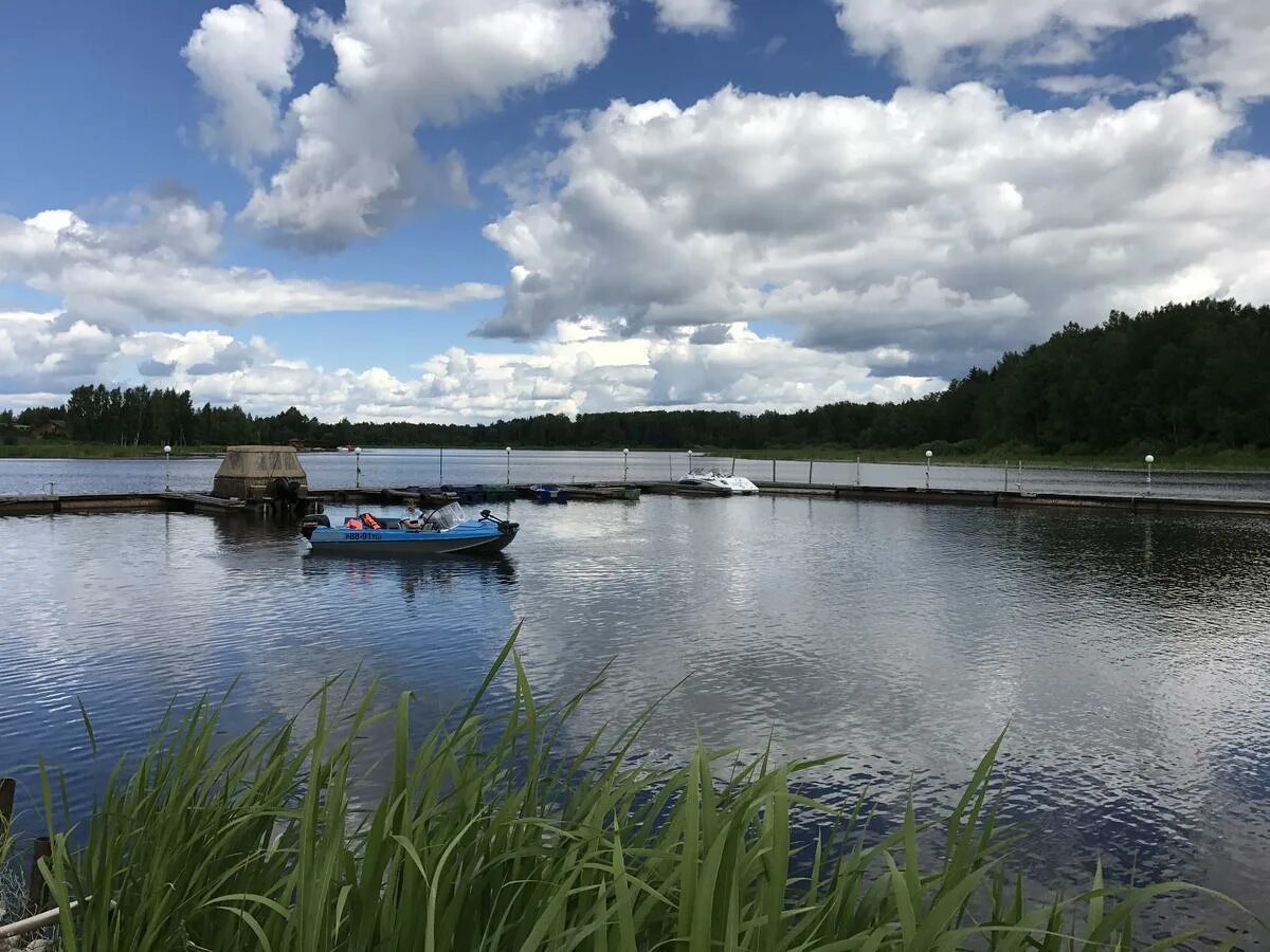 Собор успения богородицы федоровское. Федоровский конаково. Собор успения богородицы федоровское. Федоровское. Конаковский район д федоровское.