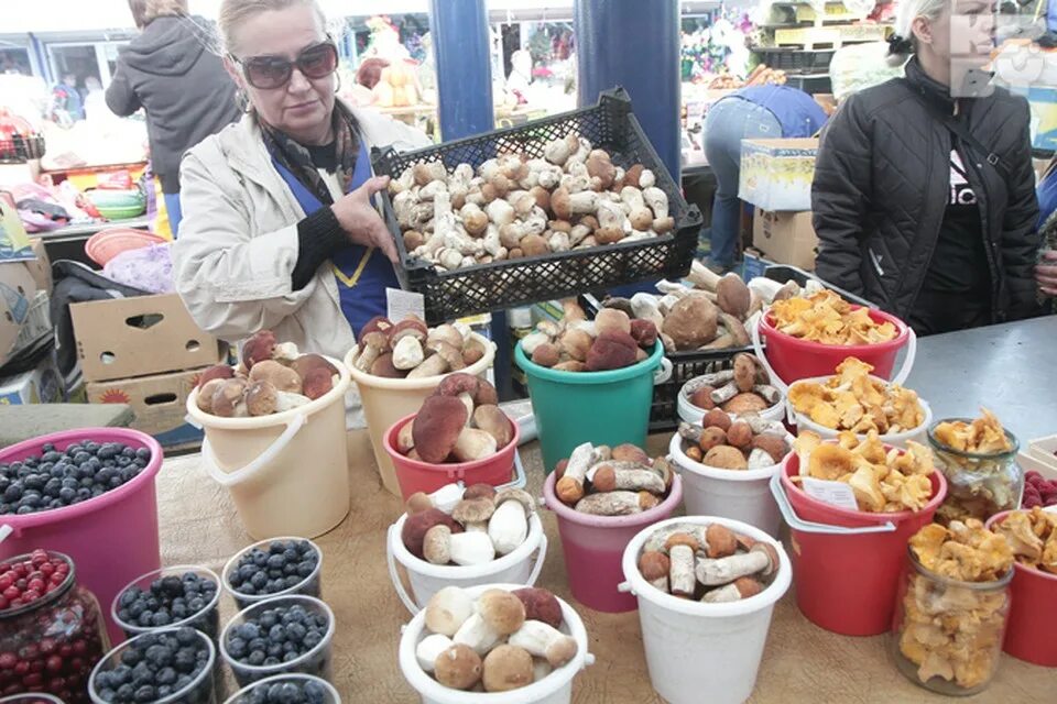 грибы на рынке турции. свежие грибы на рынке. белые грибы на рынке. торгую грибами. свежие грибы на рынке.