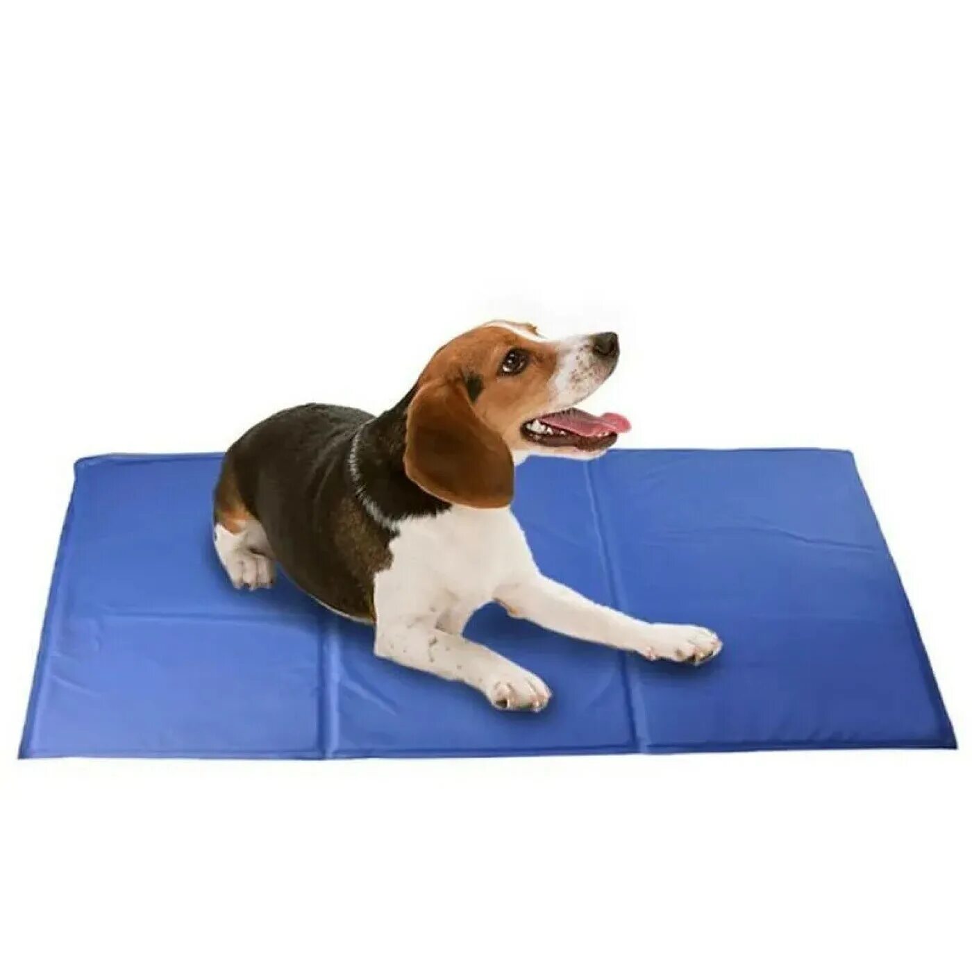 Коврик под миску для кошек. Охлаждающий коврик. Snugglesafe heated pet beds - микроволновая грелка для животных (великобритания). Охлаждающий коврик для собак и кошек. Самонагревающаяся лежанка для животных snuggle rug.