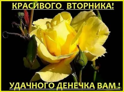 Открытка с добрым утром вторника осень