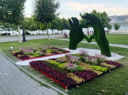 Цветы новороссийск