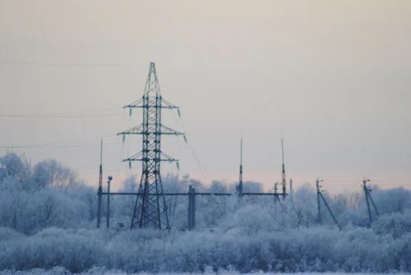 Пс бел. Пс бел. Пс белый раст 750кв. Вл 1150 кв. Пс 750 кв грибово.